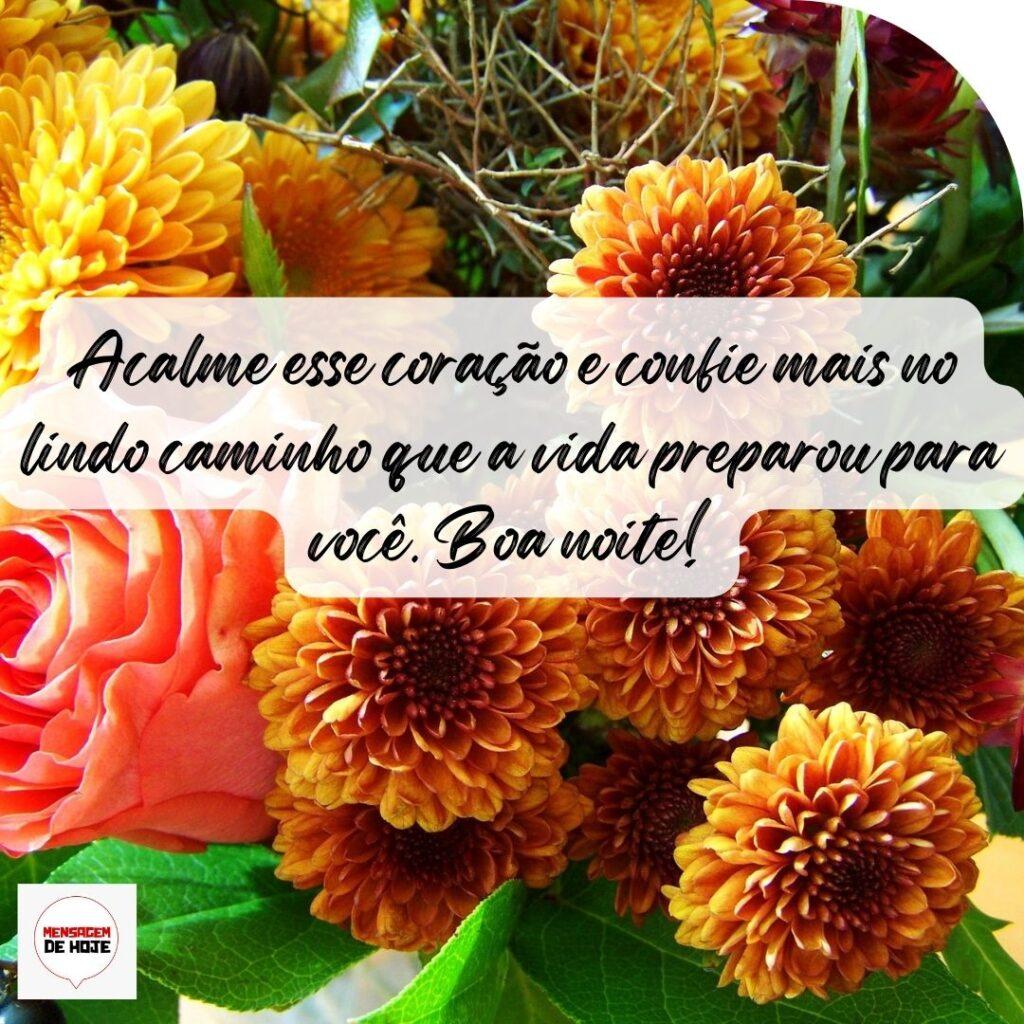 Boa Noite 11 de Outubro de 2022 5