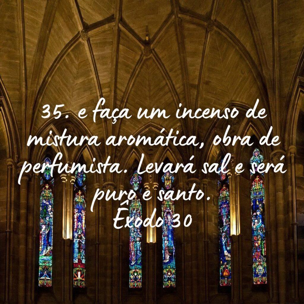Salmos 31 de Outubro de 2022 7