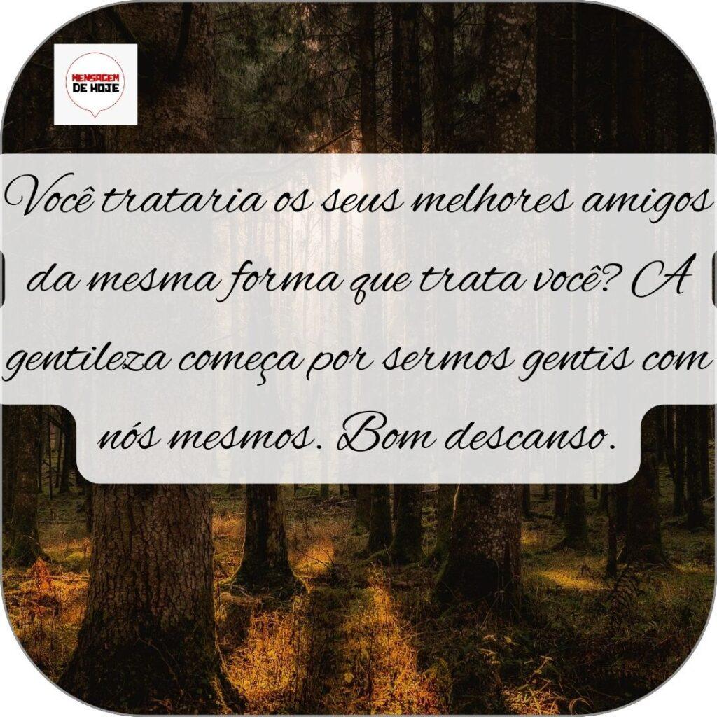 Boa Noite 01 de Novembro de 2022 11