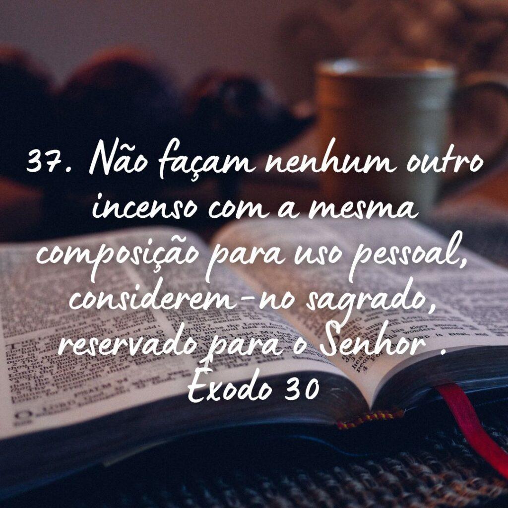Salmos 31 de Outubro de 2022 11