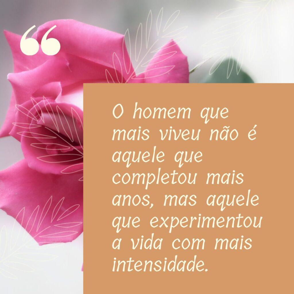 Boa Tarde 03 de Novembro de 2022 11