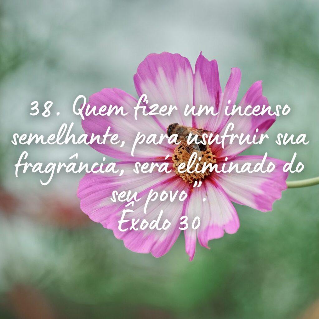 Salmos 31 de Outubro de 2022 13
