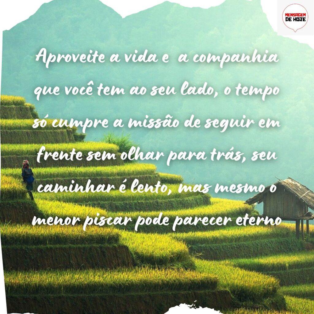 Pensamentos 19 de Novembro de 2022 17