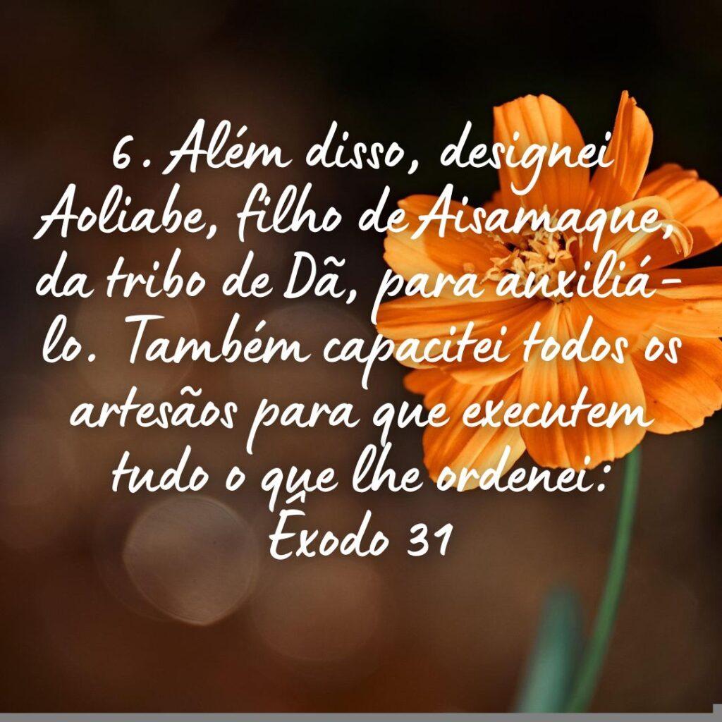 Salmos 31 de Outubro de 2022 5