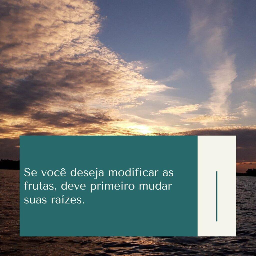 Boa Tarde 04 de Novembro de 2022 5