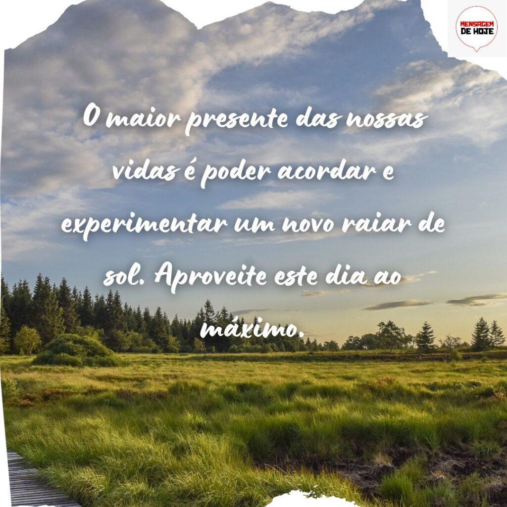 Bom Dia 21 de Novembro de 2022 5