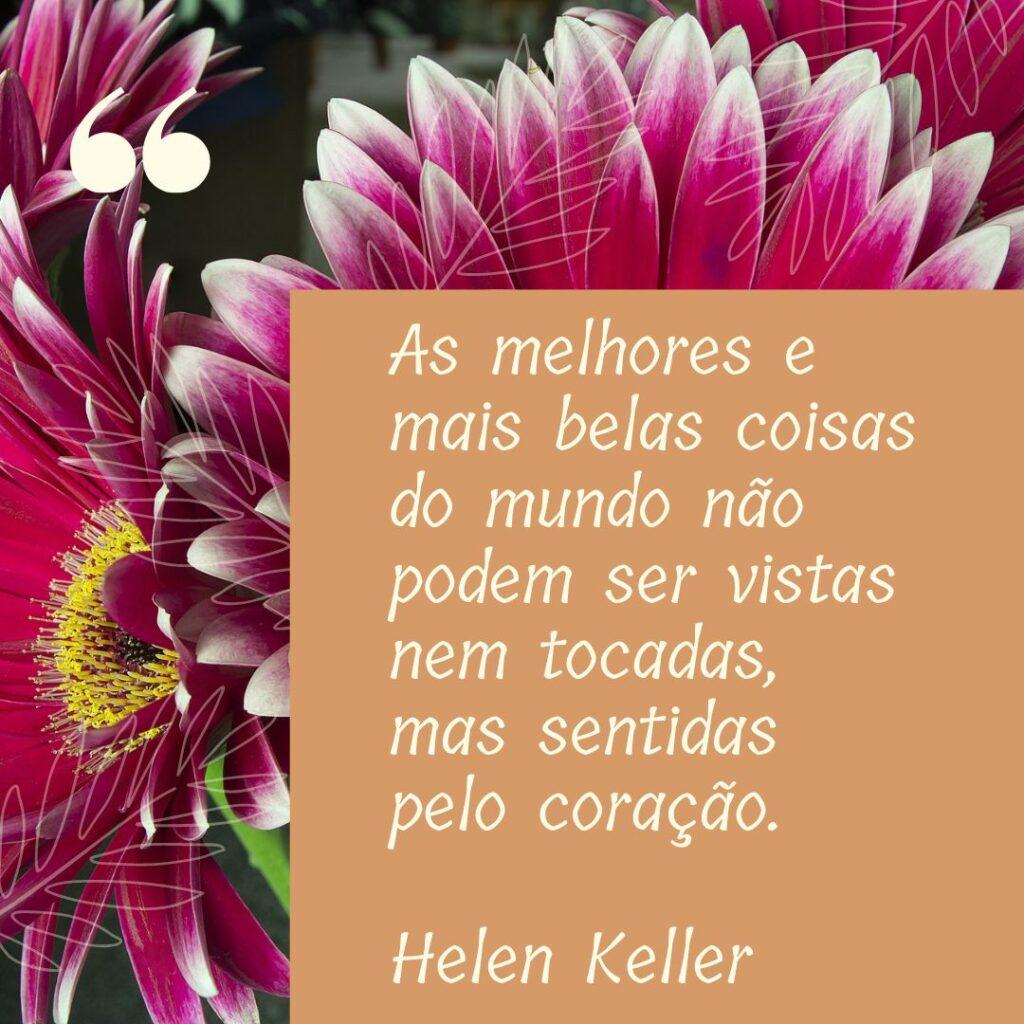 Boa Tarde 04 de Novembro de 2022 11