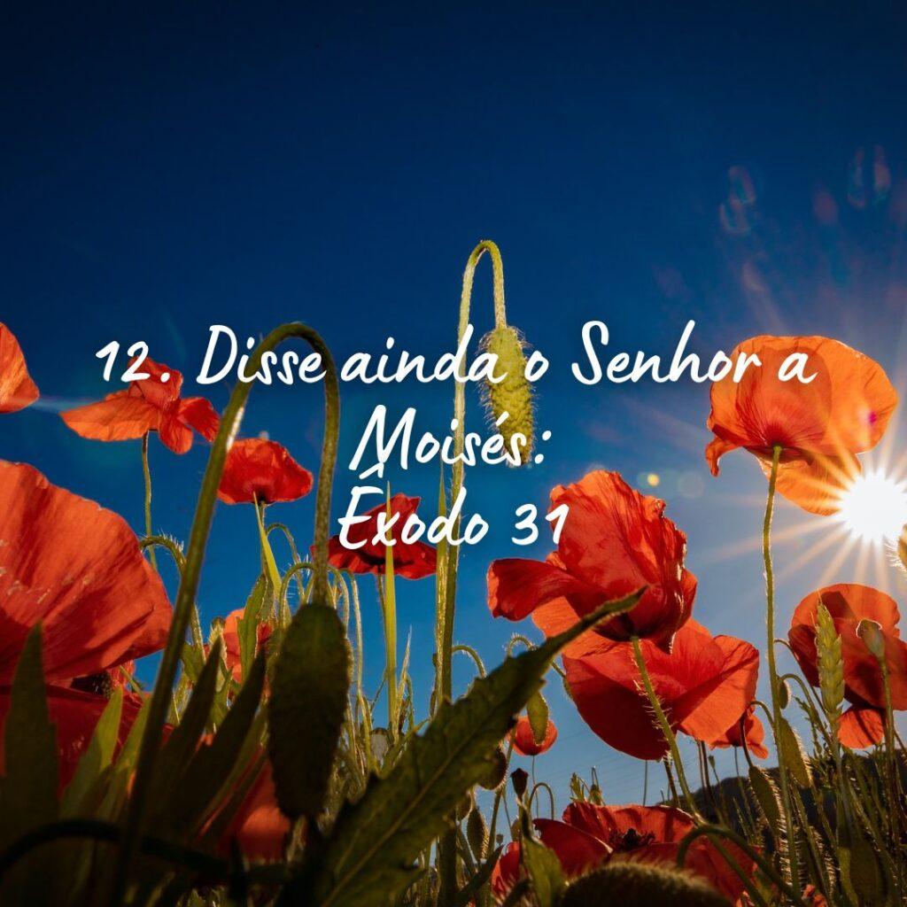 Salmos 01 de Novembro de 2022 15