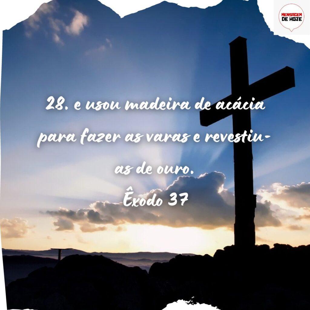 Salmos 21 de Novembro de 2022 15