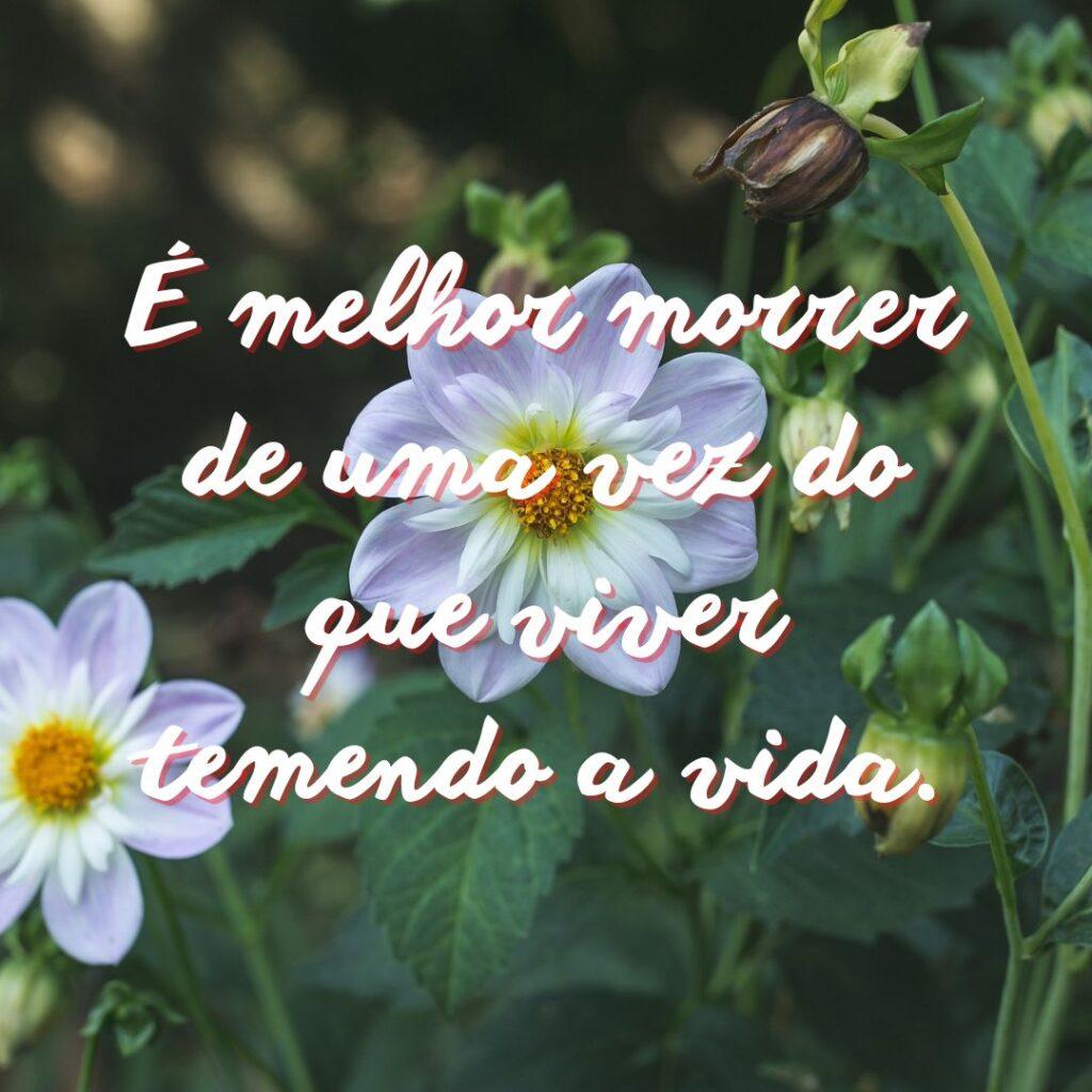 Boa Tarde 04 de Novembro de 2022 19
