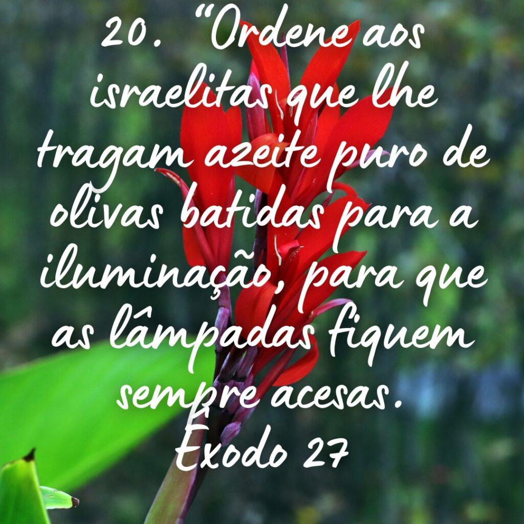 Salmos 18 de Outubro de 2022 15