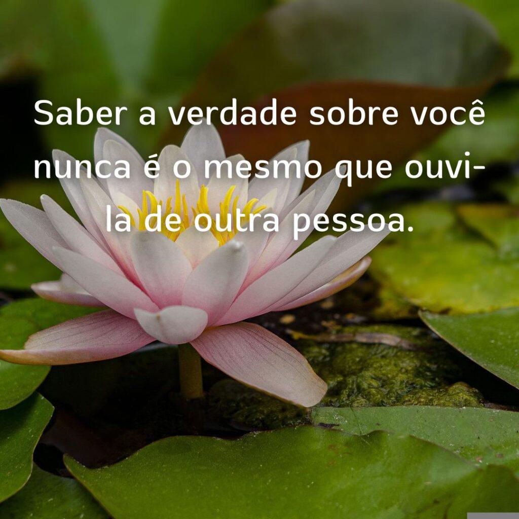 Boa Tarde 04 de Novembro de 2022 3