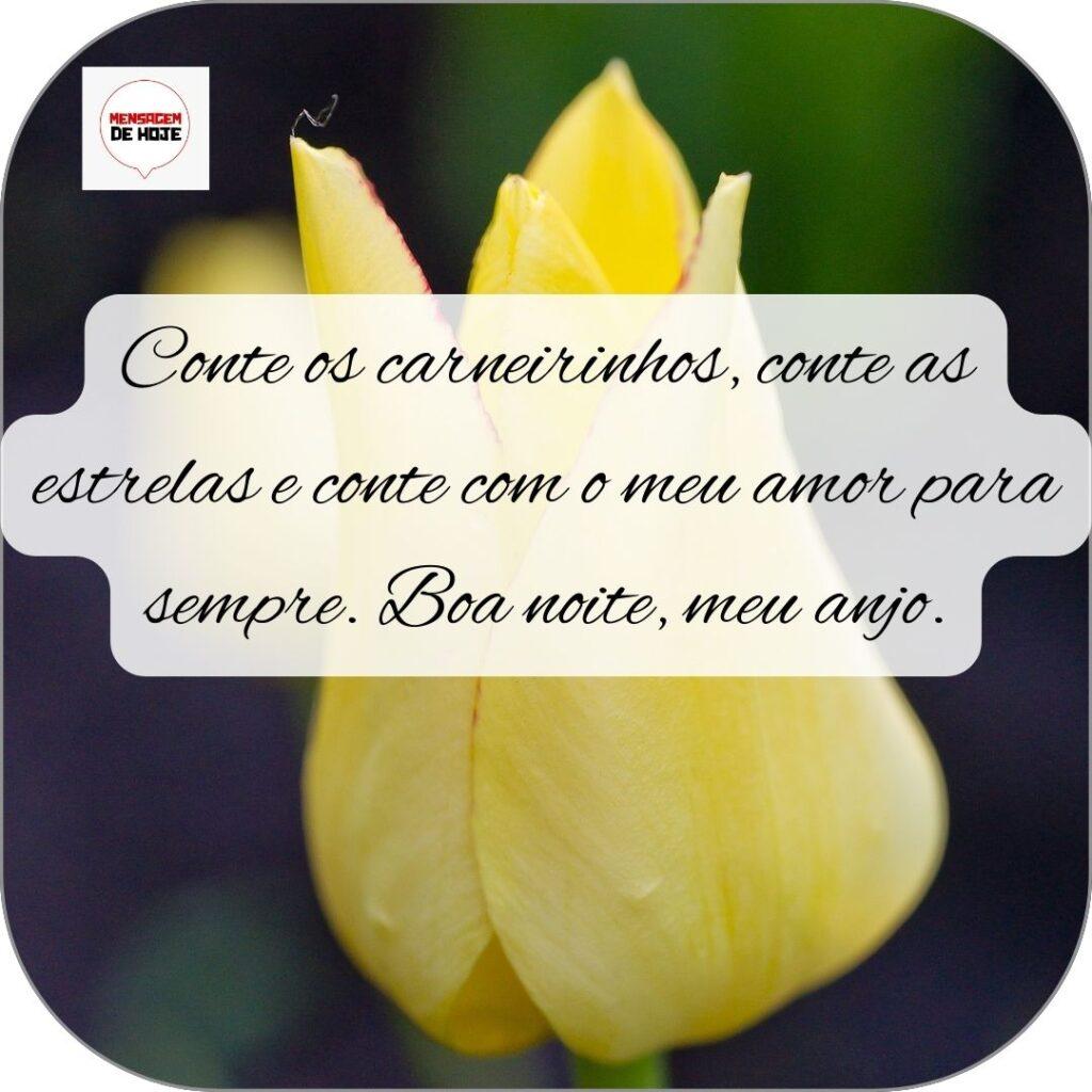 Boa Noite 02 de Novembro de 2022 3