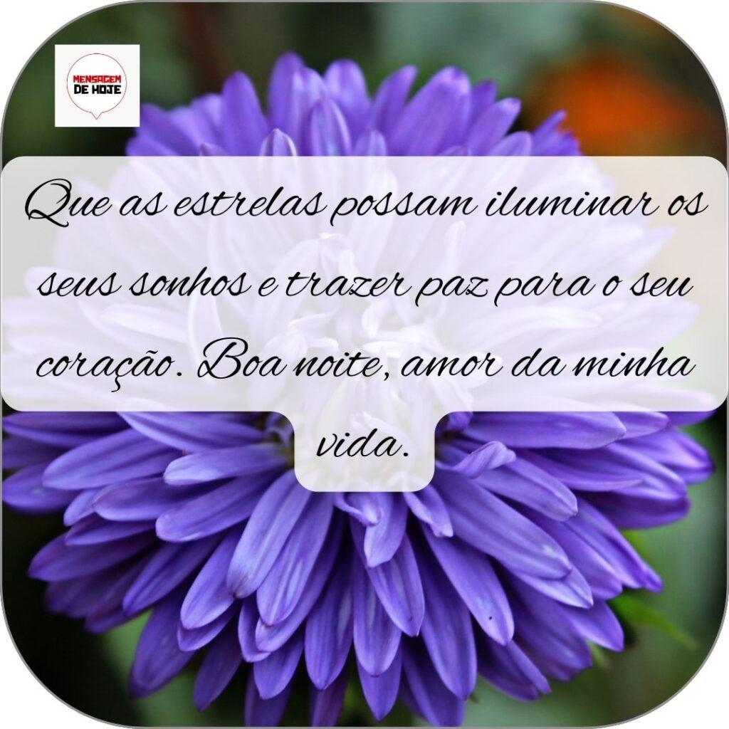 Boa Noite 03 de Novembro de 2022 7