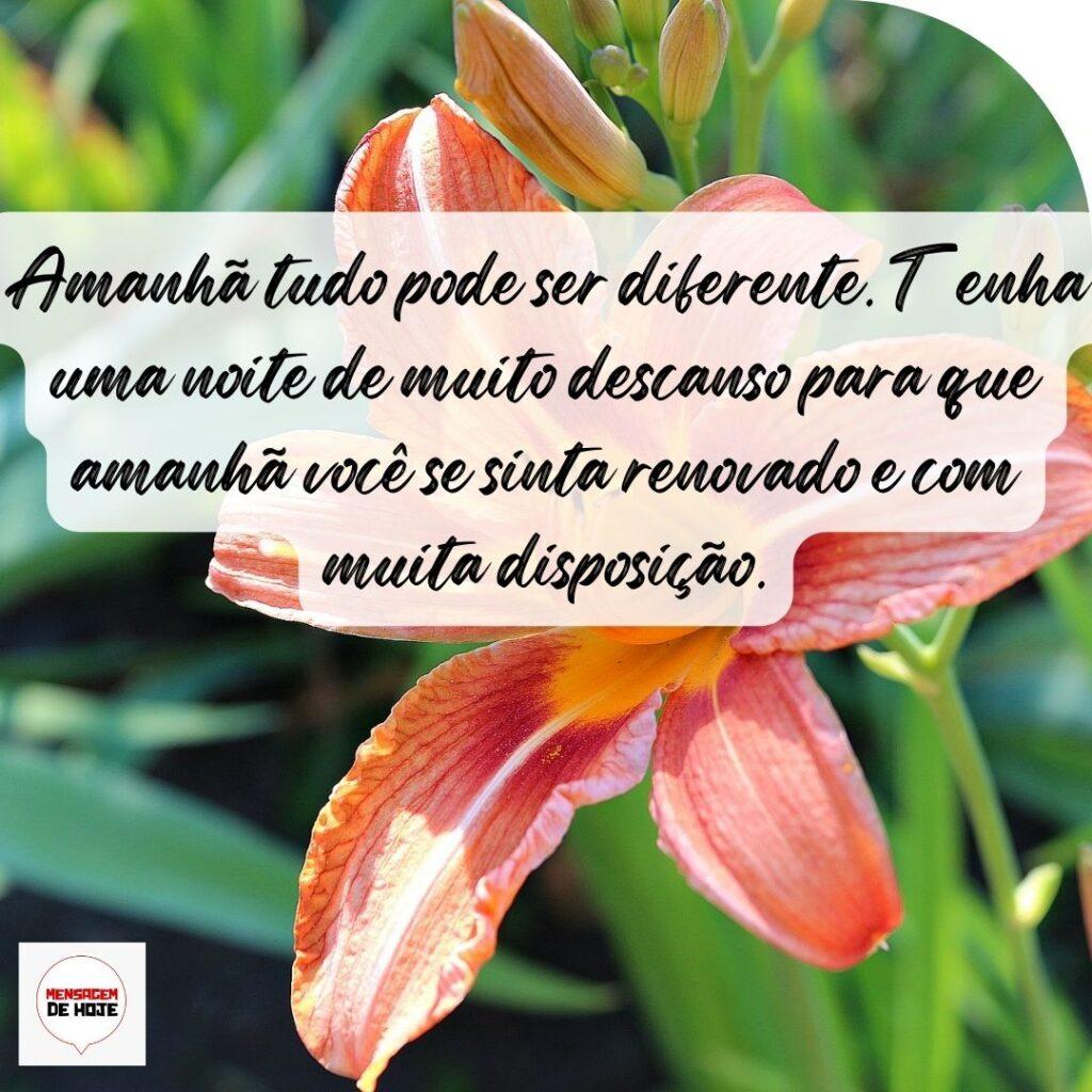 Boa Noite 14 de Outubro de 2022 17