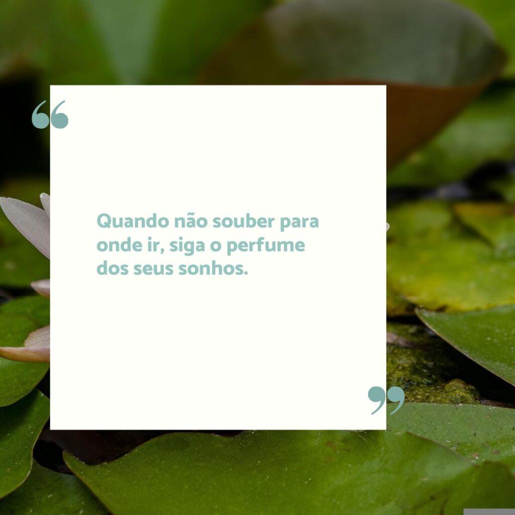 Boa Tarde 05 de Novembro de 2022 15