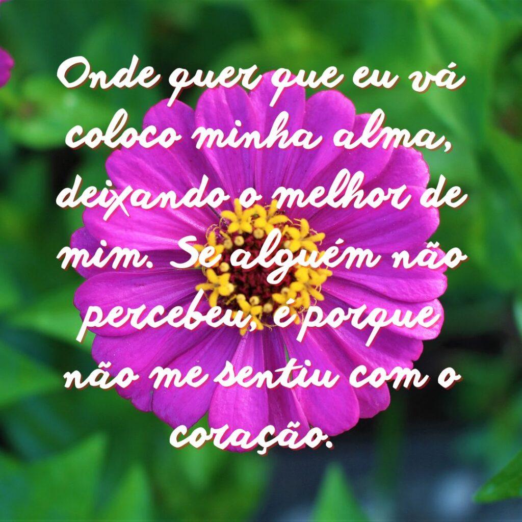 Boa Tarde 05 de Novembro de 2022 19
