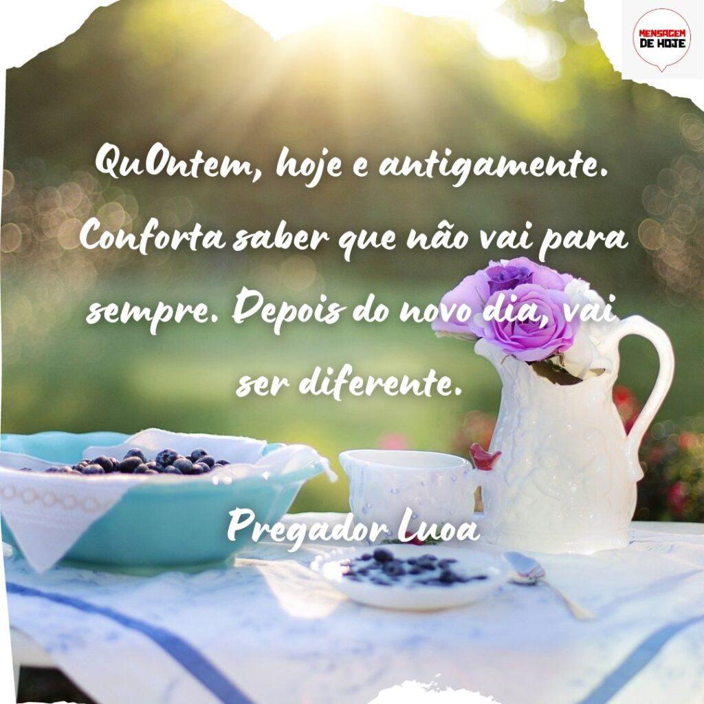 Bom Dia 22 de Novembro de 2022 19