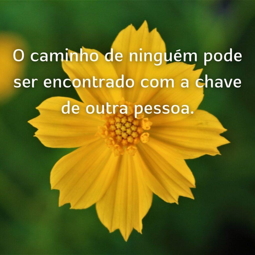 Boa Tarde 05 de Novembro de 2022 3