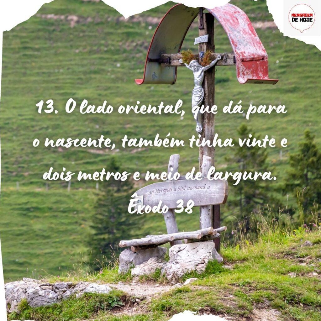 Salmos 22 de Novembro de 2022 3