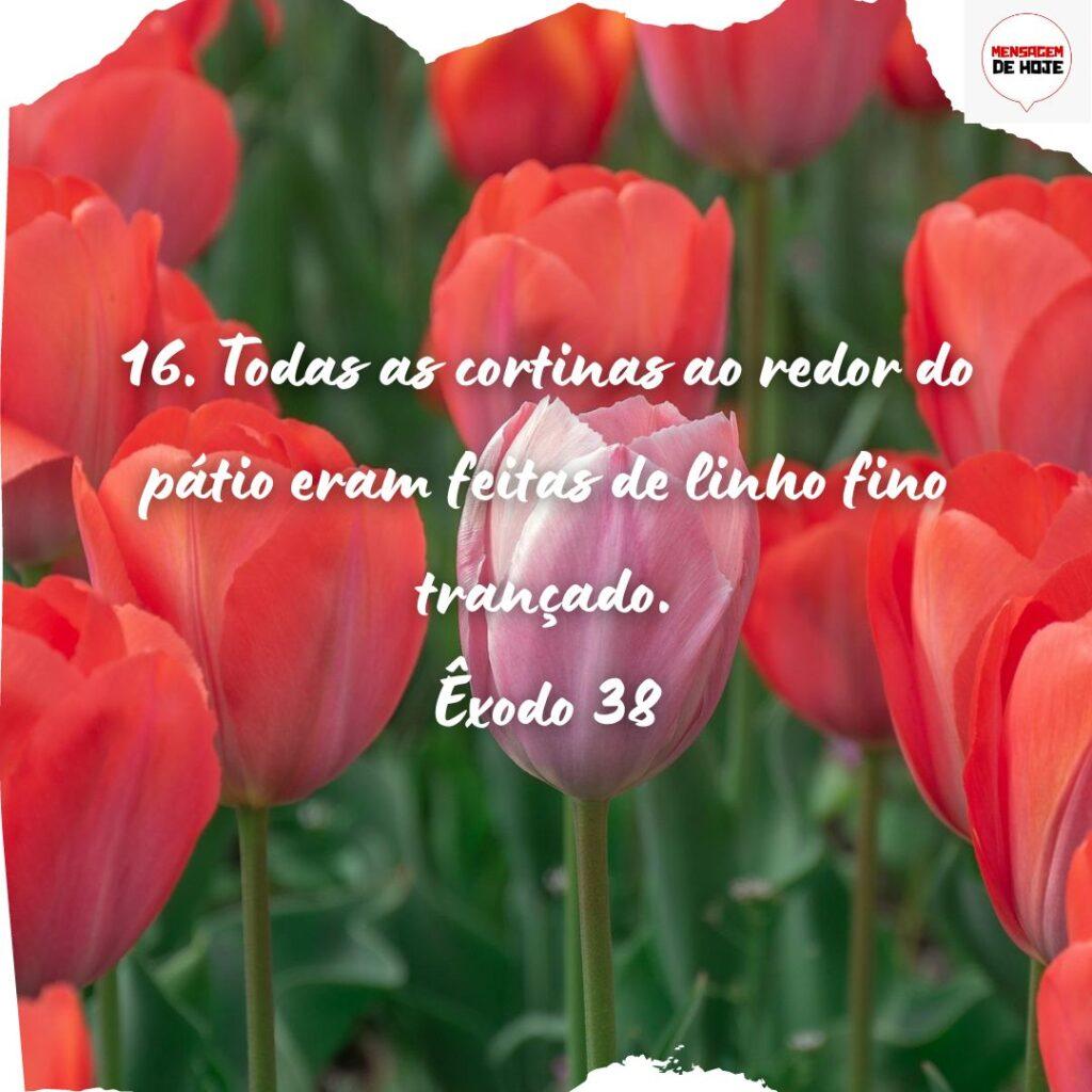 Salmos 23 de Novembro de 2022 9