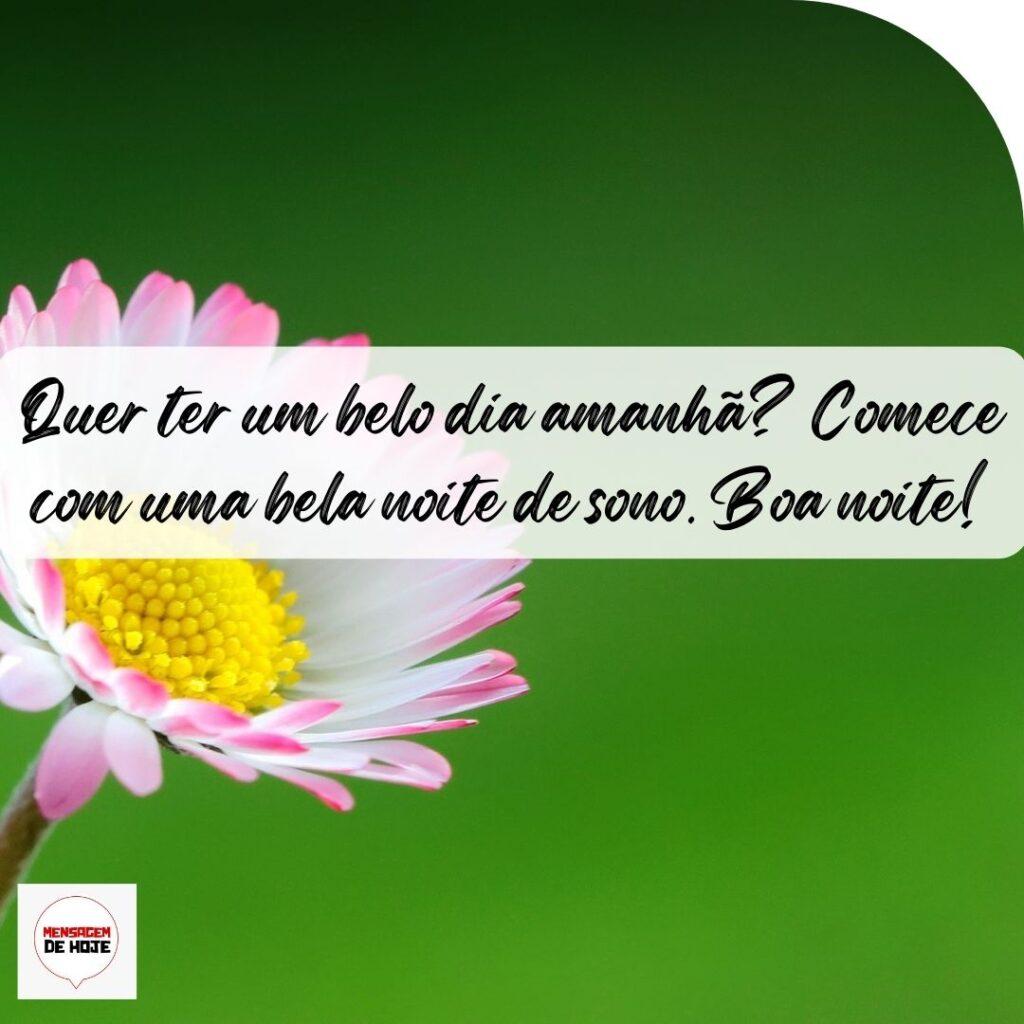 Boa Noite 15 de Outubro de 2022 11