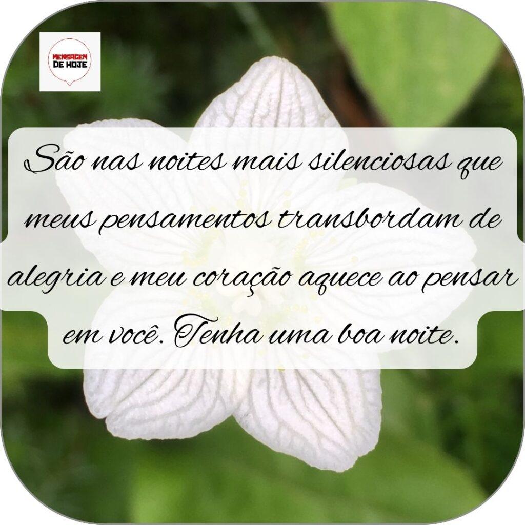 Boa Noite 04 de Novembro de 2022 13