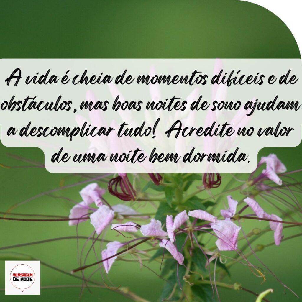 Boa Noite 15 de Outubro de 2022 19