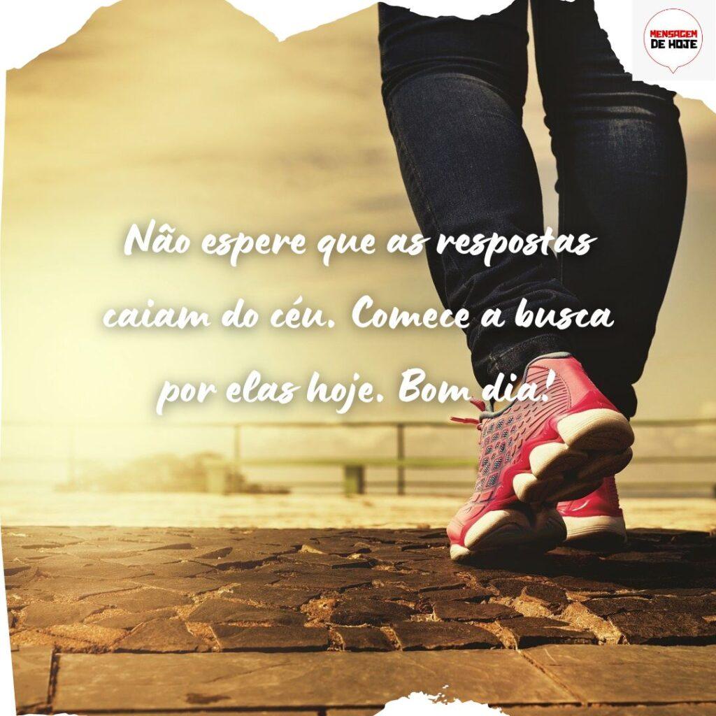 Bom Dia 23 de Novembro de 2022 1