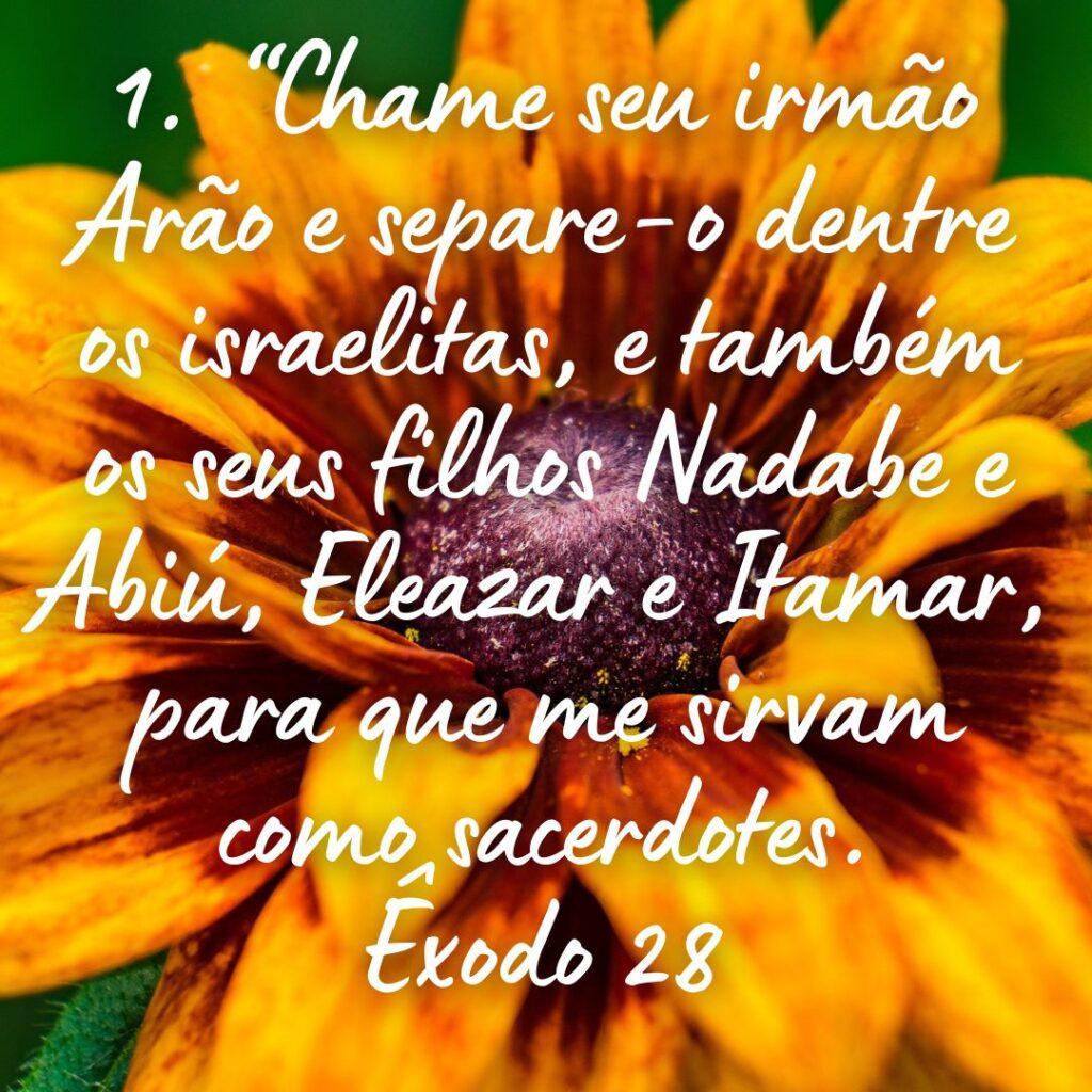 Salmos 18 de Outubro de 2022 19