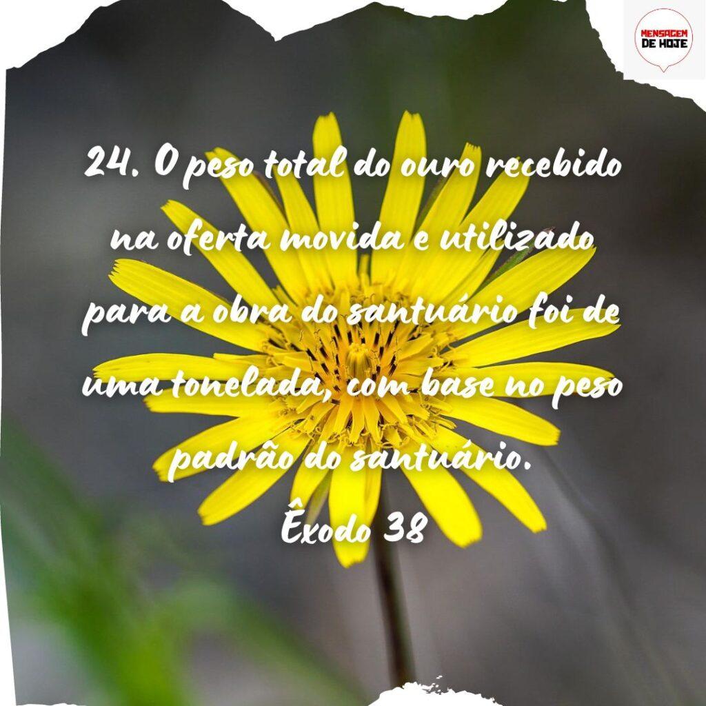 Salmos 24 de Novembro de 2022 5