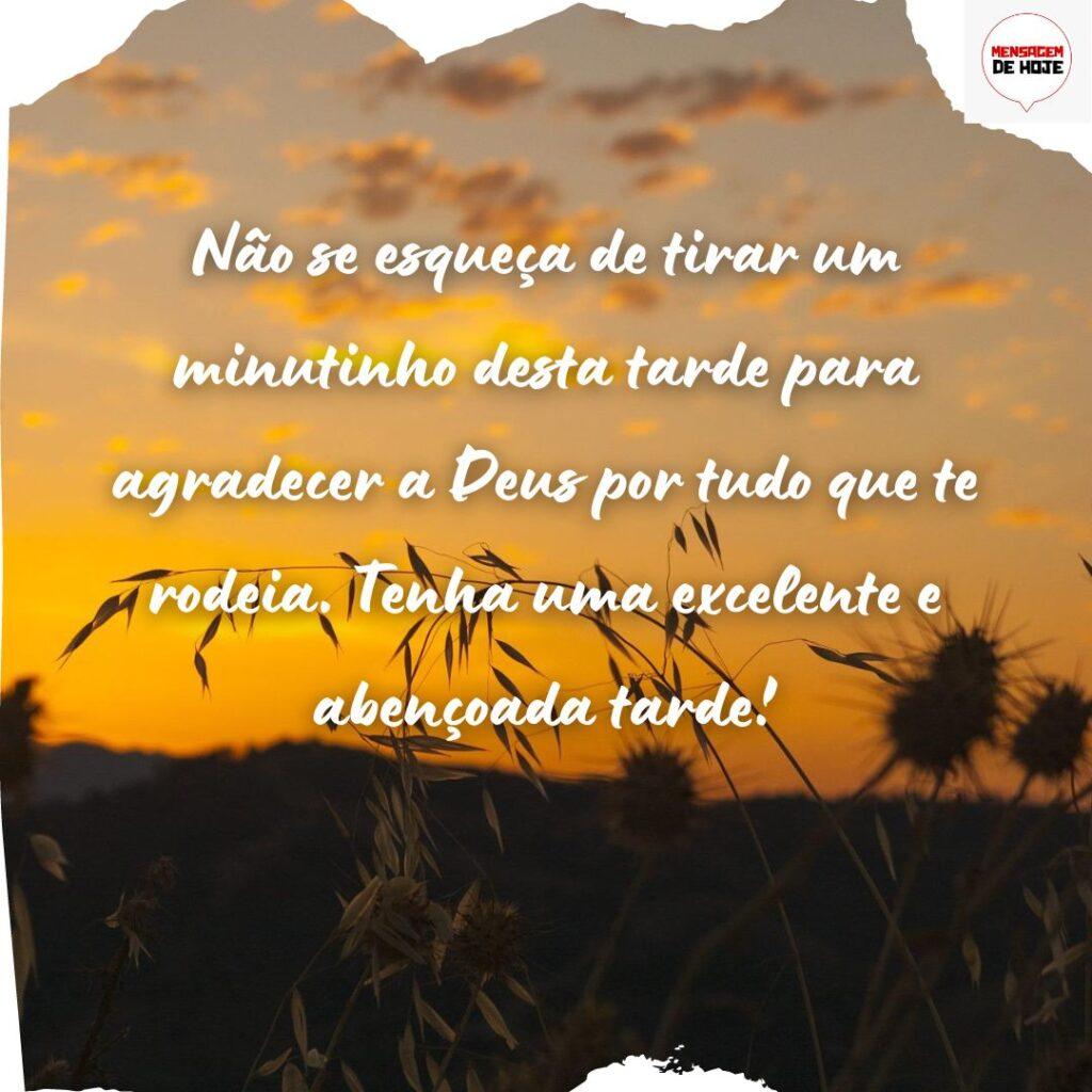 Boa Tarde 27 de Novembro de 2022 9