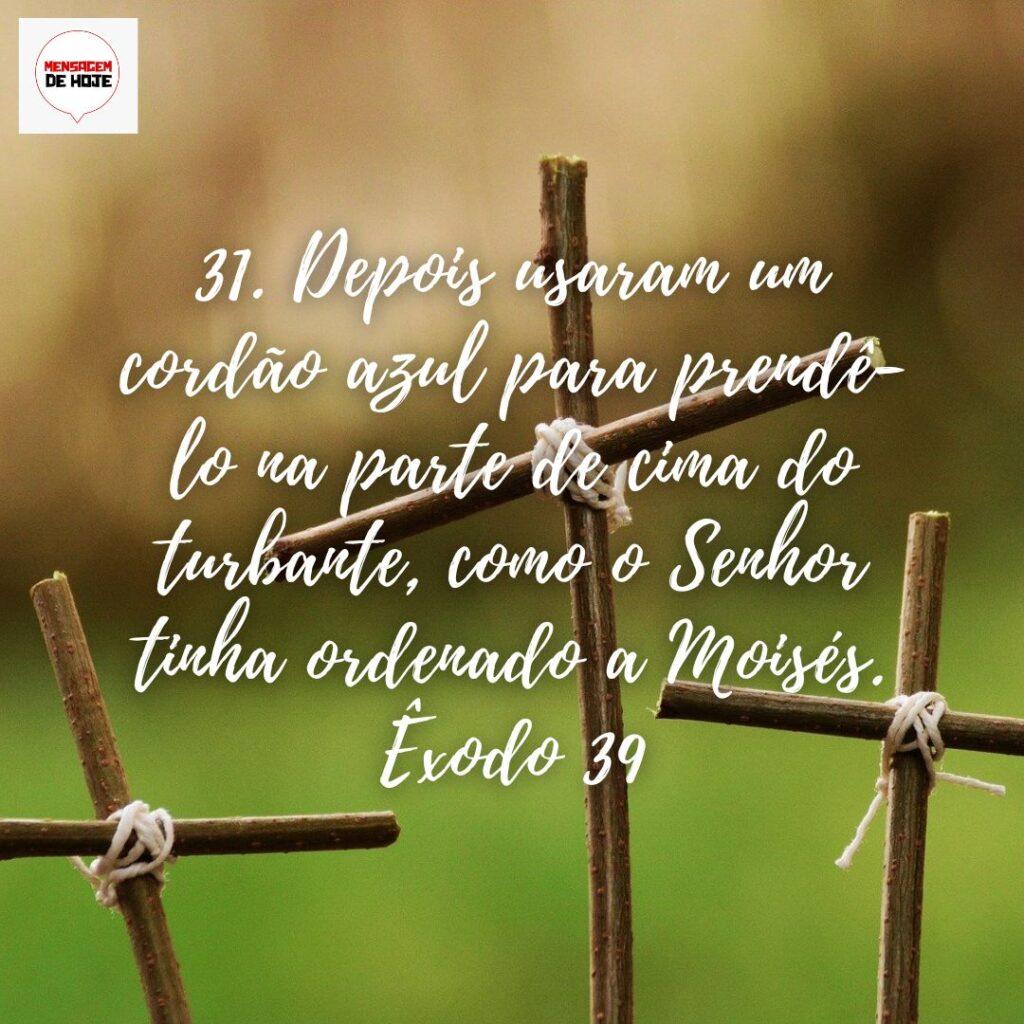 Salmos 27 de Novembro de 2022 1