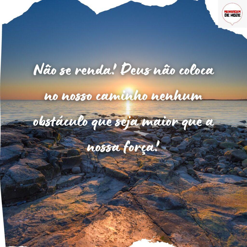 Bom Dia 25 de Novembro de 2022 9