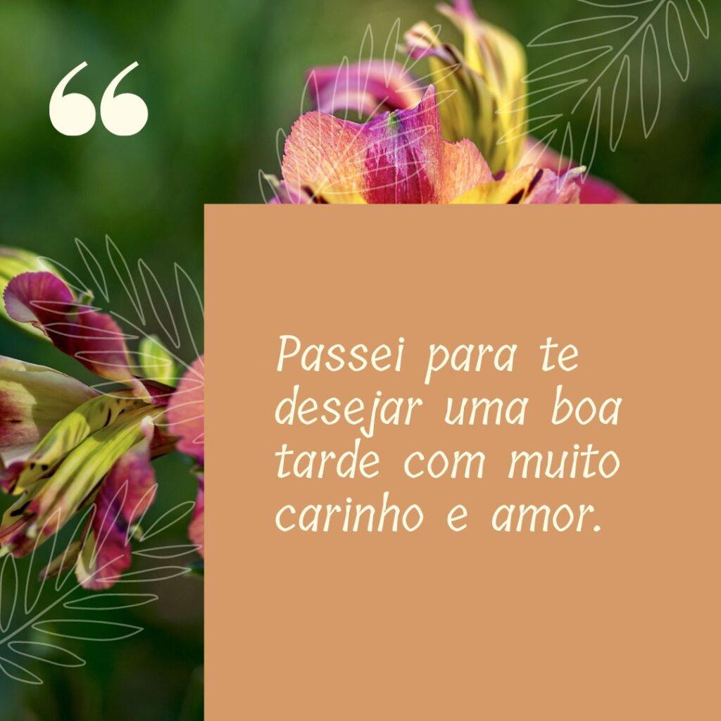 Boa Tarde 08 de Novembro de 2022 11