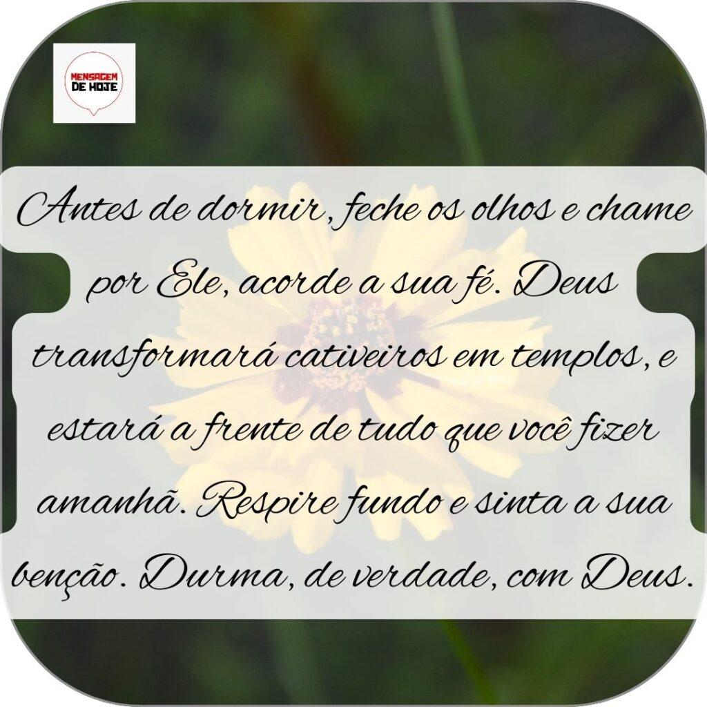 Boa Noite 06 de Novembro de 2022 11