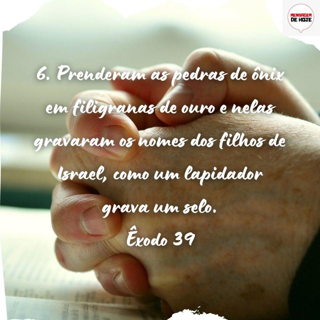 Salmos 25 de Novembro de 2022 11