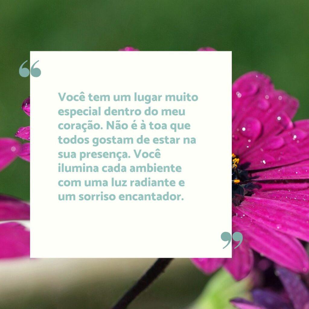 Boa Tarde 08 de Novembro de 2022 15