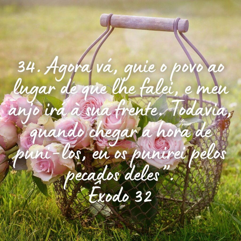 Salmos 05 de Novembro de 2022 13