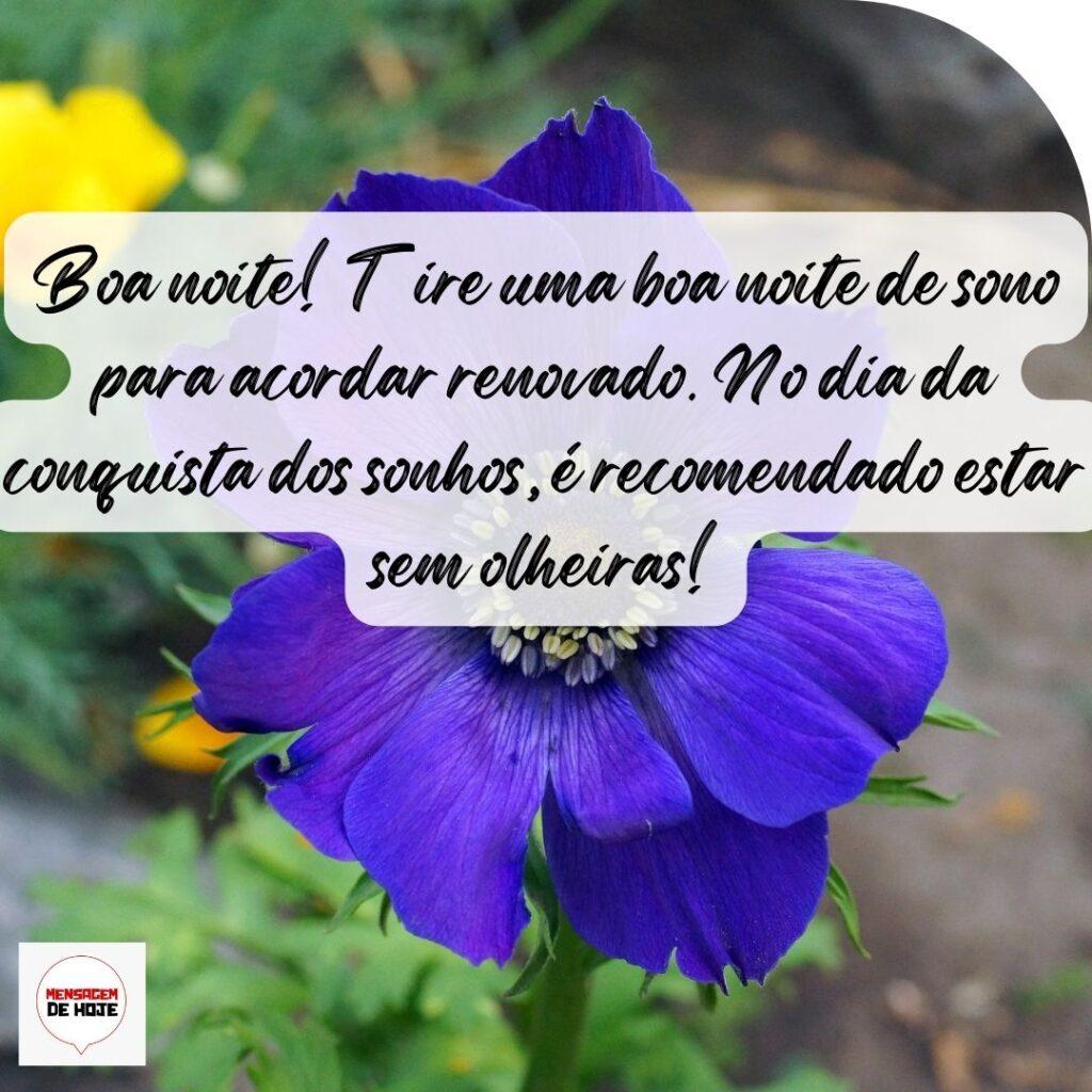 Boa Noite 17 de Outubro de 2022 19