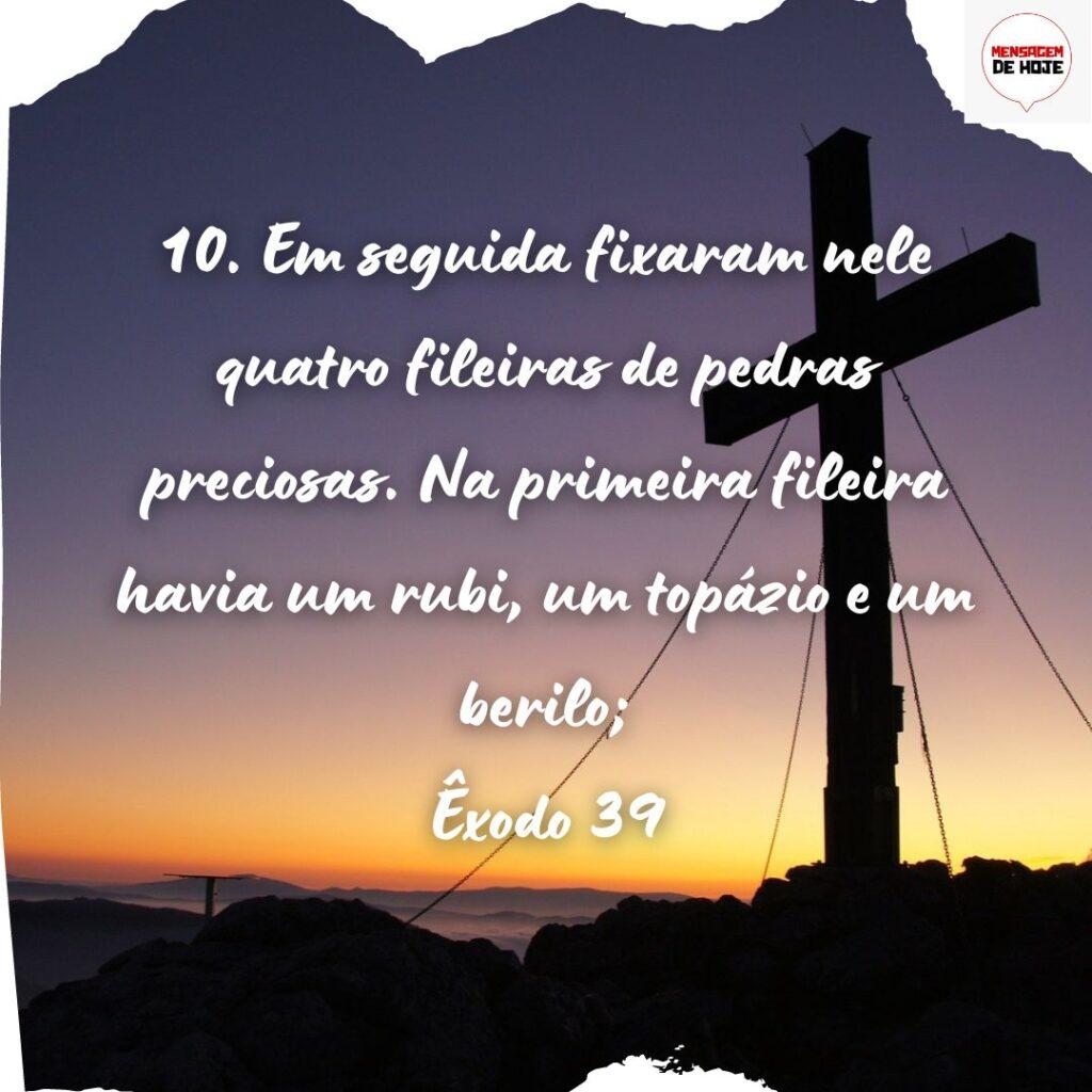 Salmos 25 de Novembro de 2022 19
