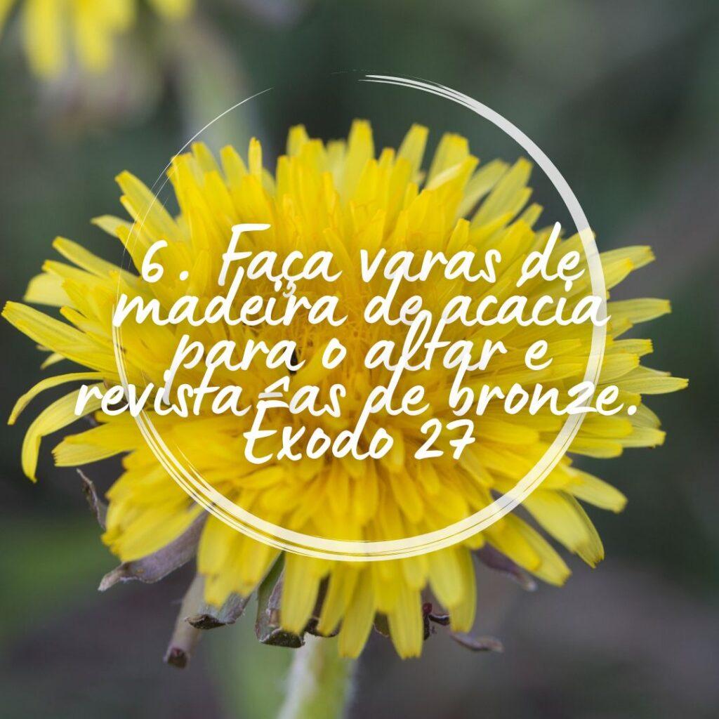 Salmos 17 de Outubro de 2022 7
