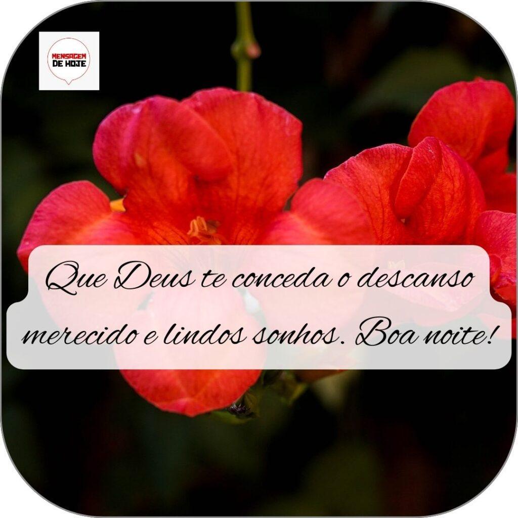 Boa Noite 18 de Outubro de 2022 7