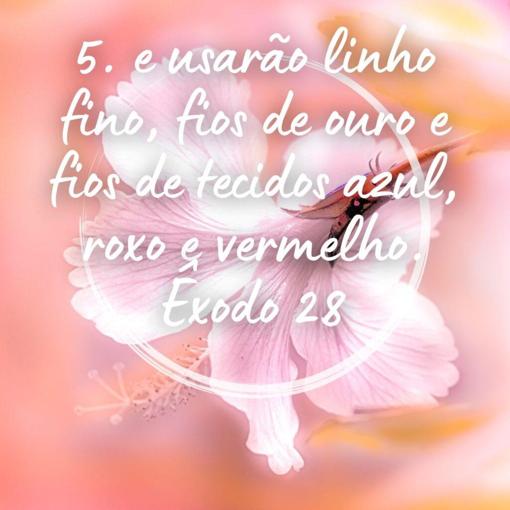 Salmos 19 de Outubro de 2022 13