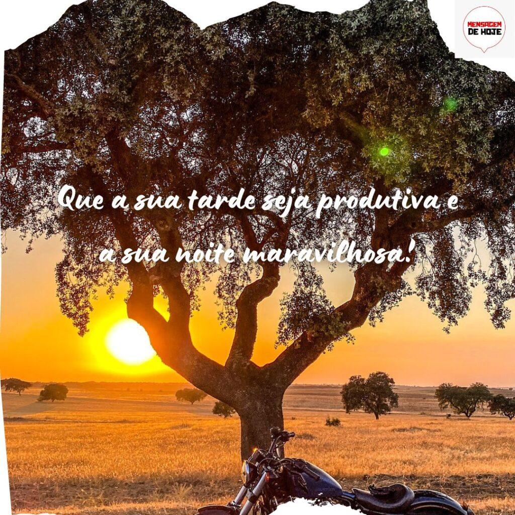 Boa Tarde 11 de Novembro de 2022 13