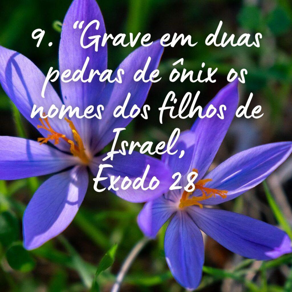 Salmos 19 de Outubro de 2022 1
