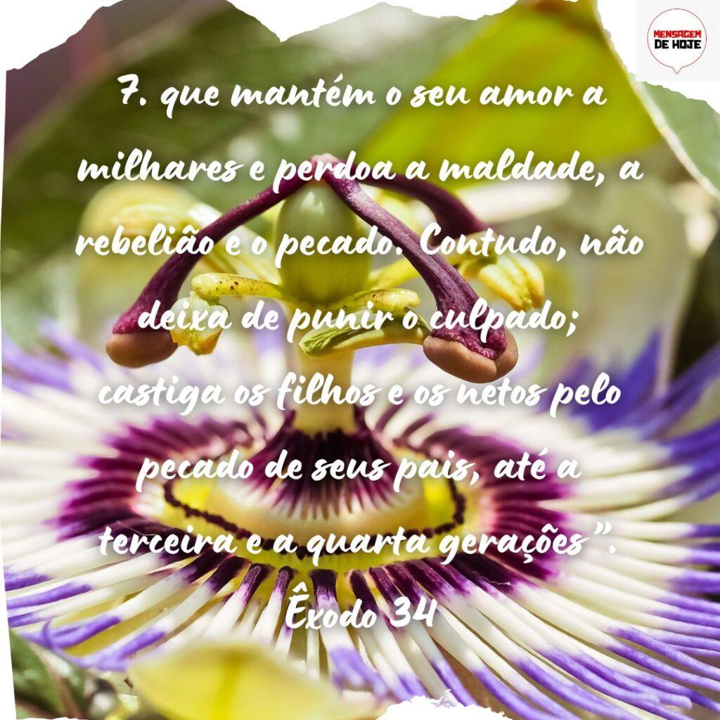 Salmos 08 de Novembro de 2022 17