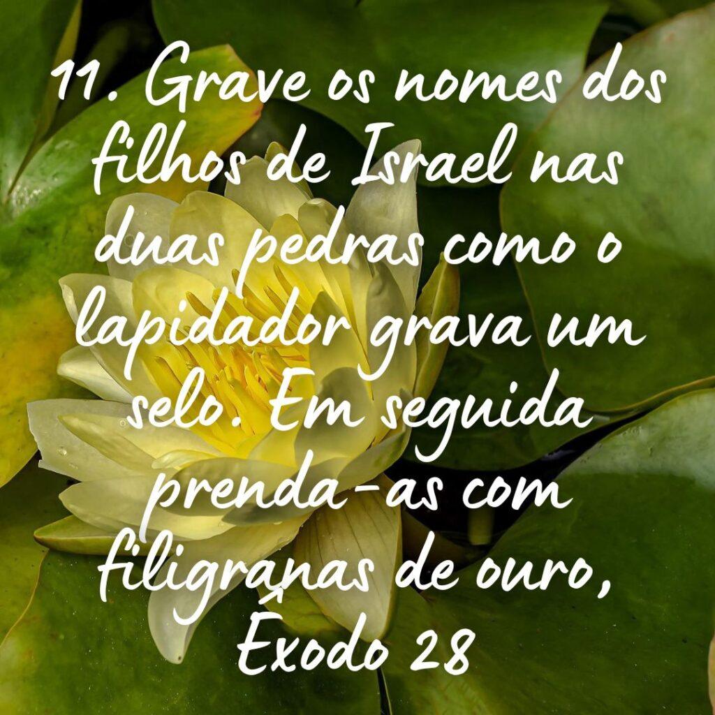 Salmos 19 de Outubro de 2022 5