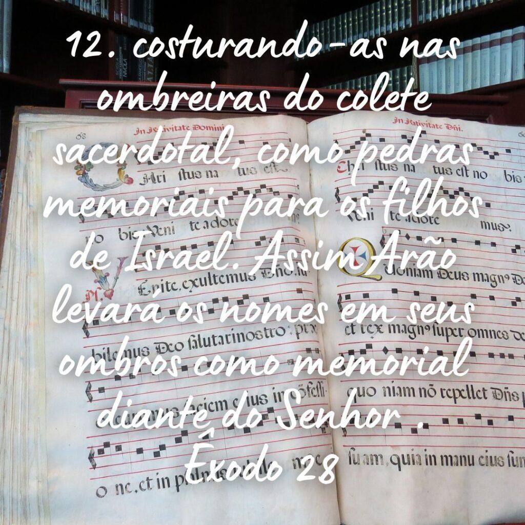 Salmos 19 de Outubro de 2022 7