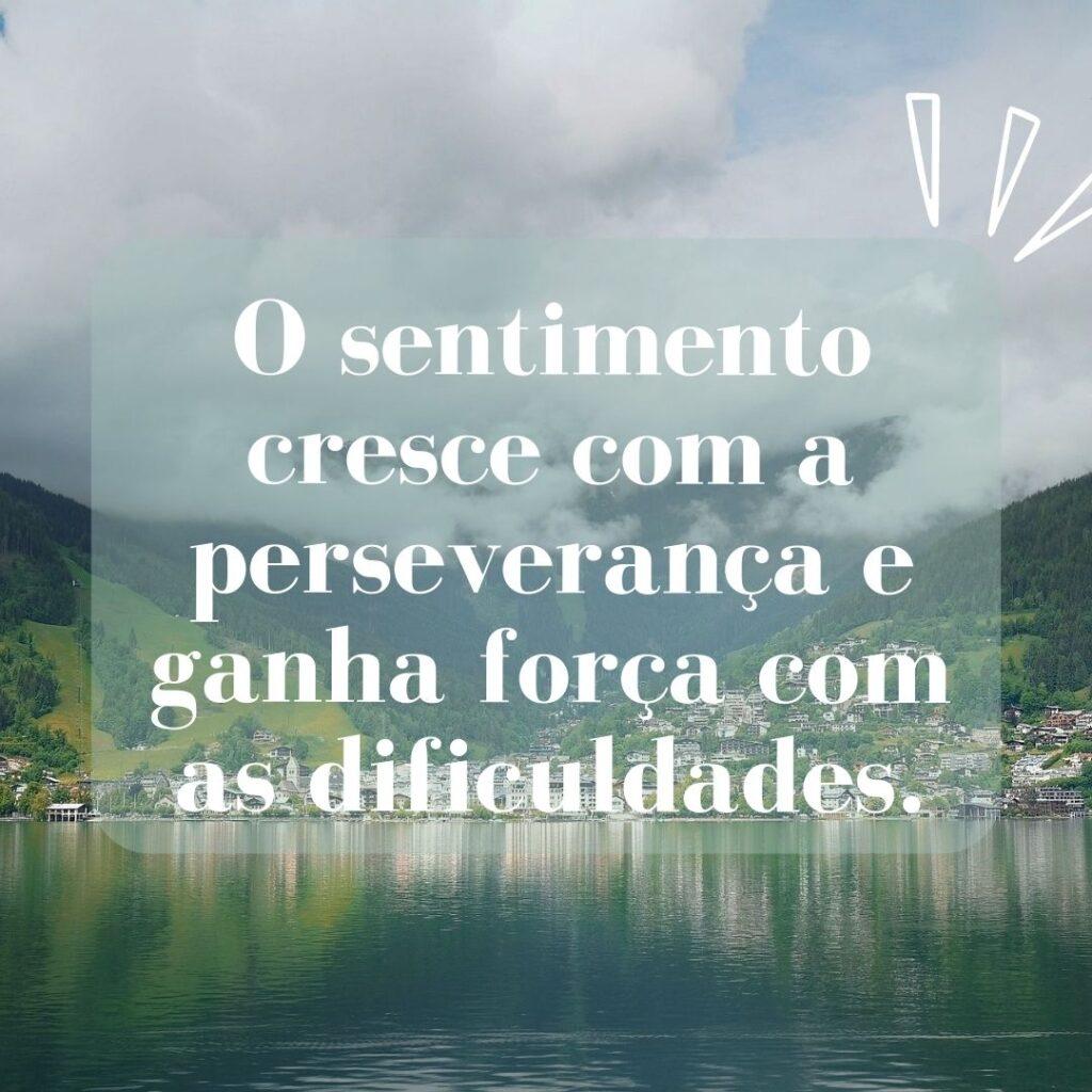 Pensamentos 19 de Outubro de 2022 15